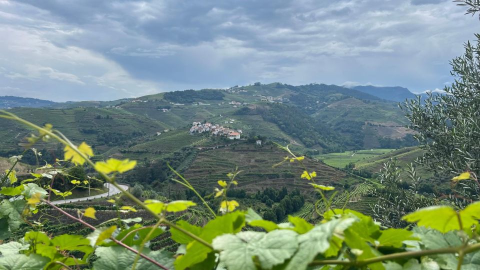 Douro Valley Tour - Inclusions and Exclusions