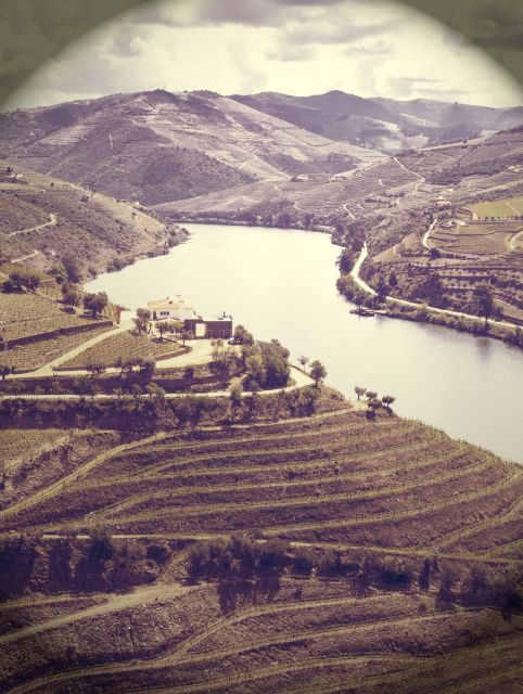 Douro Valley Vineyards Full-Day Tour From Porto - Inclusions