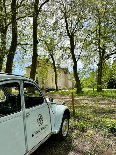 Driving Tour in a Citroën 2CV With Wine Tasting - Prestigious Burgundian Wine Tasting