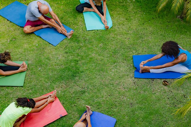 Drop-In Group Yoga Class - Punta Cana - Reviews and Ratings