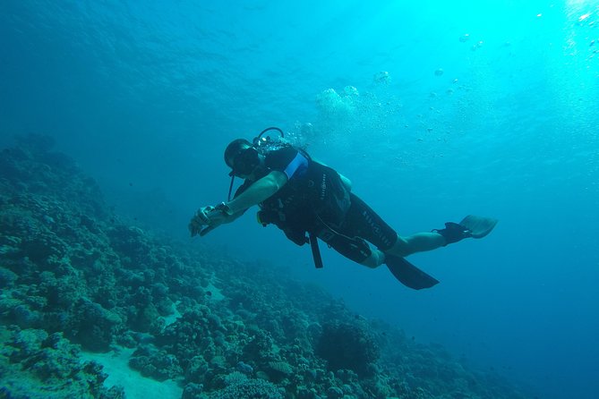 DSD Discover Scuba Diving (Min Age 10 Years) - Minimum Travelers Required