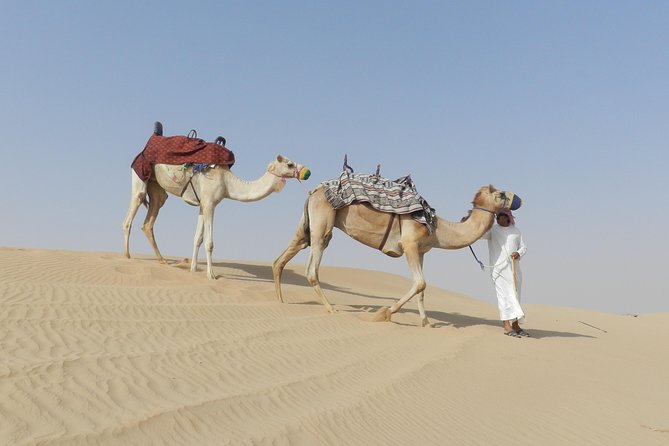 Dubai Desert Safari Dune Bashing, 60min ATV Quad, Camel Ride, BBQ - Authentic Emirati Cuisine