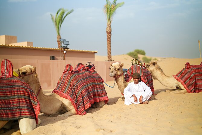 Dubai Evening Desert Safari With BBQ Dinner at Noble Camp - Sandboarding Excitement