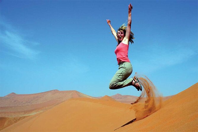 Dubai Red Dune Safari With BBQ Dinner and Live Shows - Sunset Photo-Stop and Vistas