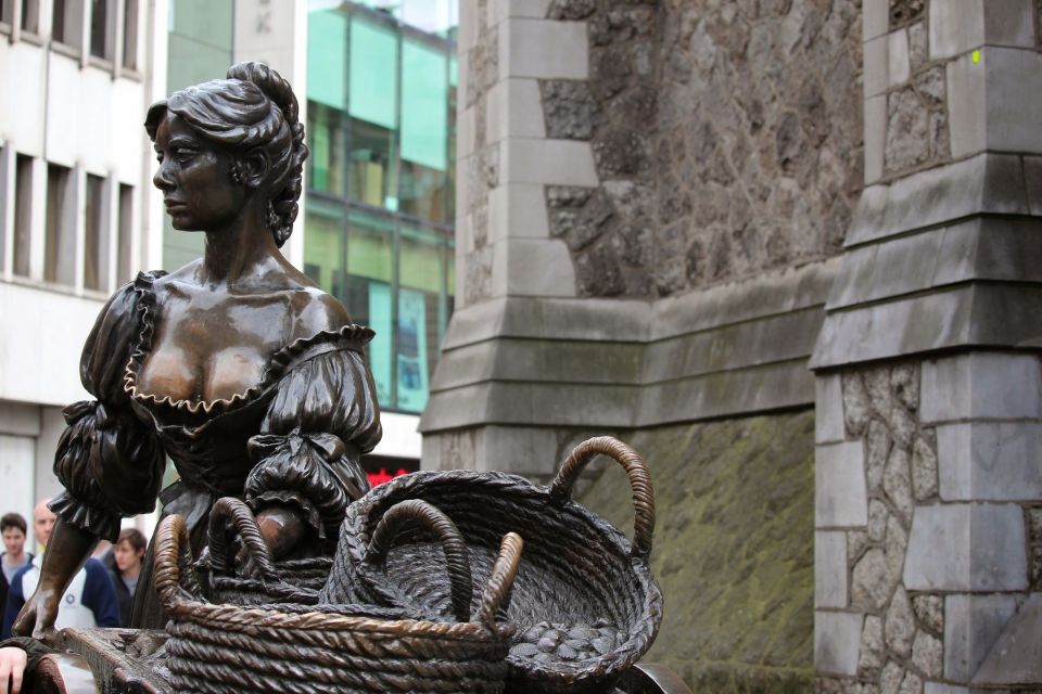 Dublin: Half-Day Private Walking Tour - Discounted Attractions