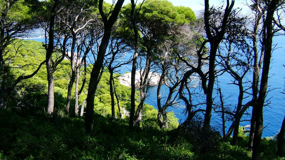 Dubrovnik: Blue Cave and Elafit Small Group Boat Exploration - Included Amenities