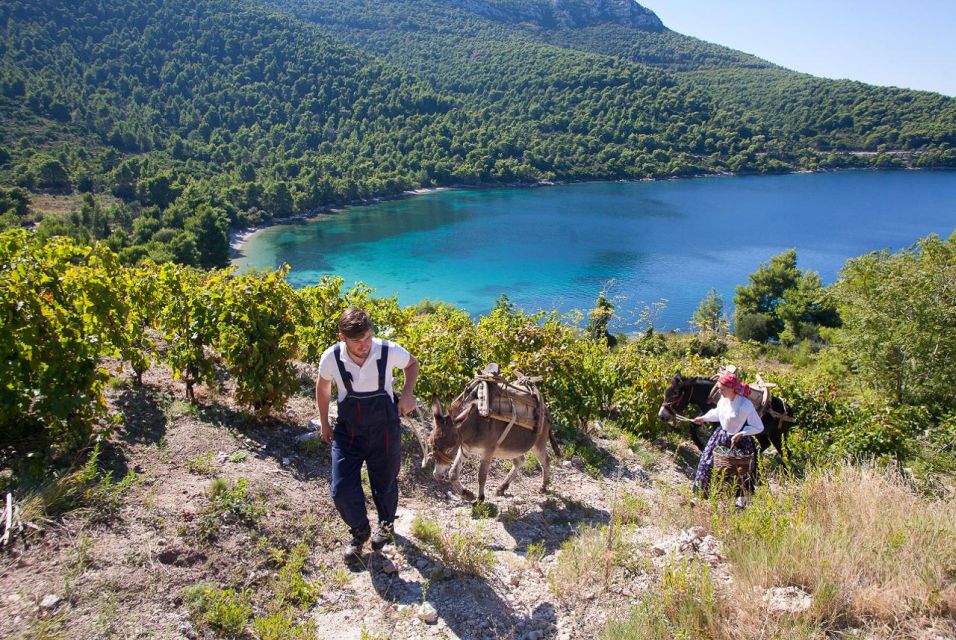 Dubrovnik: Wine & Gastro Private Tour to Pelješac Peninsula - Family Wineries