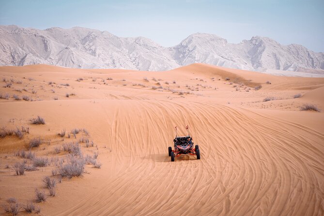 Dune Buggy & Private Dinner in the Dunes in Mleiha National Park - Delicious Arabic-Fusion Barbecue Dinner