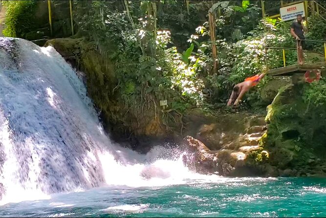 Dunns River Falls and Blue Hole With Lunch From Montego Bay - Activity Schedule