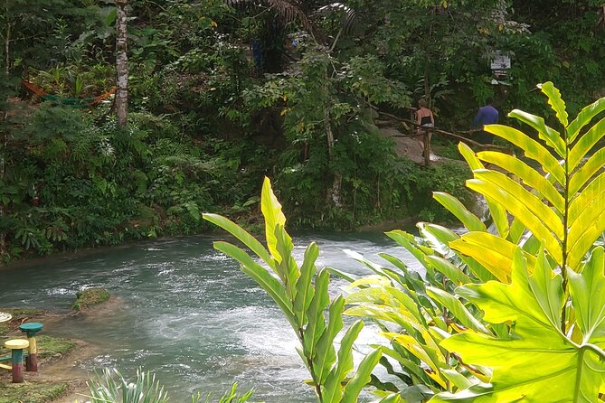 Dunns River Falls & Blue Hole Tour From Montego Bay - What to Bring