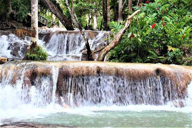 Dunns River Falls & Luminous Lagoon Guided Tour With Admission From Falmouth - Cancellation Policy and Group Size