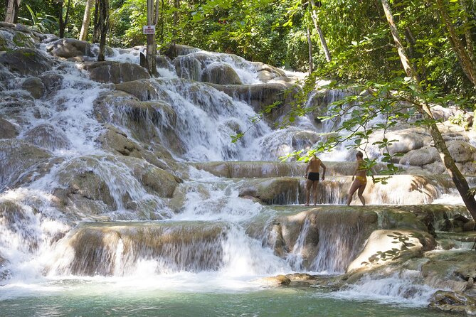 Dunns River Falls Plus Luminous Lagoon (Glistening Water)Private Tour - Additional Information