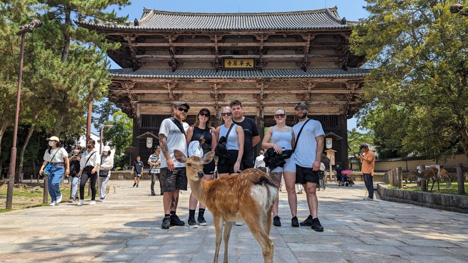 E-Bike Nara Highlights - Todaiji, Knives, Deer, Shrine - Visit Todaiji Temple and Nandaimon Gate