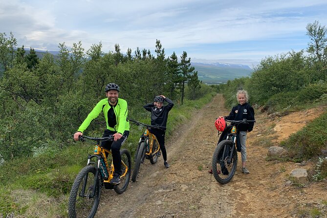 E-bike Tour Ullarfoss - Additional Considerations