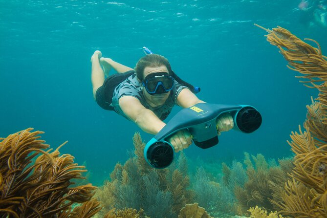 E-Snorkeling Tour in Bonaire With Easy Sea Scooters - Medical and Fitness Requirements