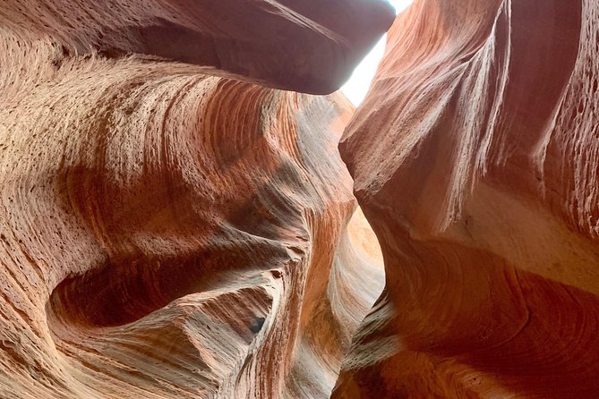 East Zion 4 Hour Slot Canyon Canyoneering UTV Tour - Meeting and Logistics