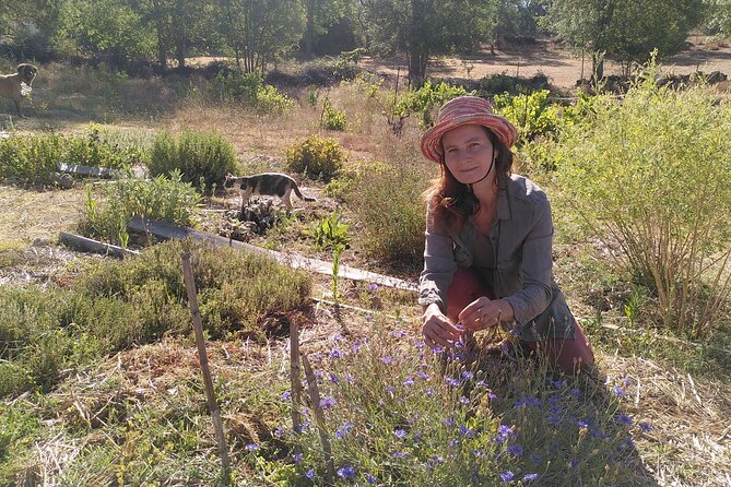 Educational Visit of a Certified Organic Micro Farm in Trancoso - Accessibility Information