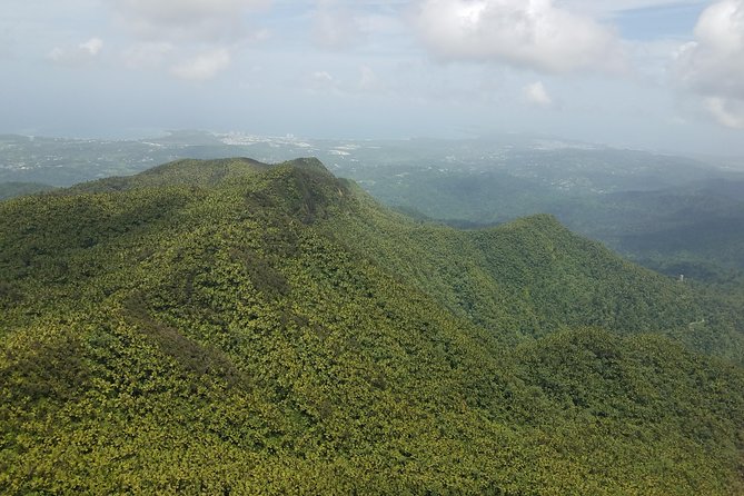 El Yunque Rainforest Full Day Private Tour - Exploring the Rainforest