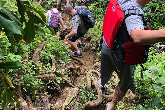 El Yunque Rainforest Tour With Transport From San Juan Area - Pickup and Drop-off Locations