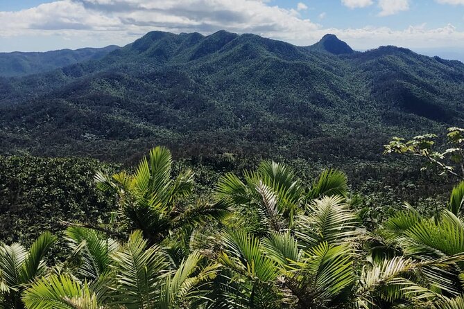 El Yunque Rainforest, Waterslides, and Beach Tour With Transport - Accessibility and Fitness Requirements