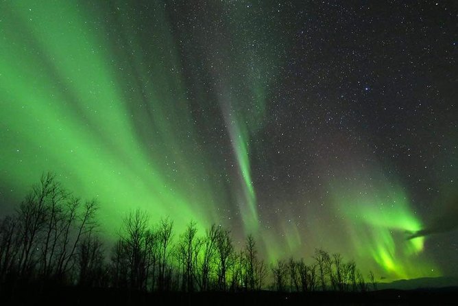 Enjoy the Aurora Show on Top of the Mountain Inc Tipi Dinner - Accessibility