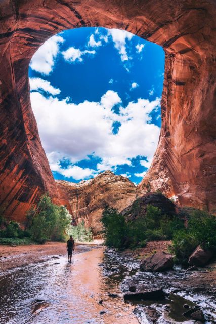 Escalante: Full-Day Private Tour & Hike - Diverse Landscapes