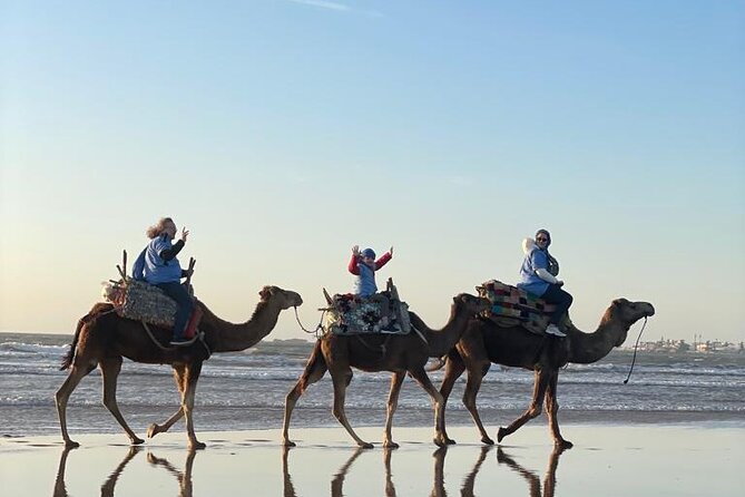 Essaouira Private Camel Ride (1 Hour). - Booking and Logistics Details