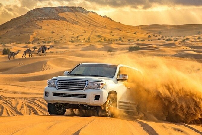 Evening Desert Safari Adventure in Dubai - Entertainment