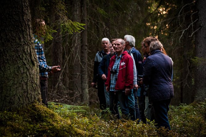 Evening Wildlife Safari Stockholm - Exploring Stockholms Wildlife