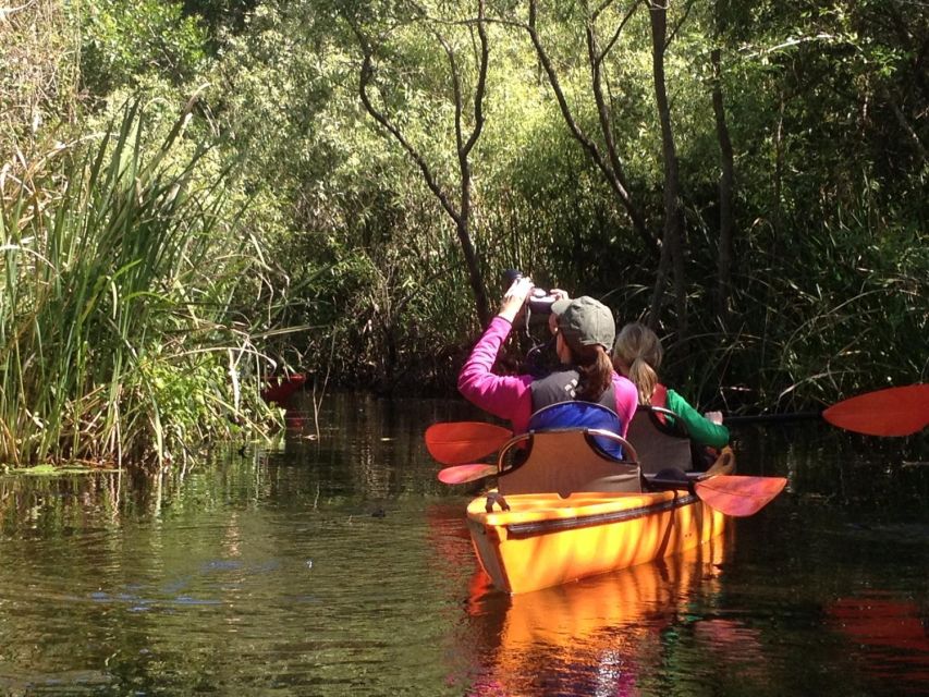 Everglades Kayak Safari Adventure Through Mangrove Tunnels - Preparing for the Trip