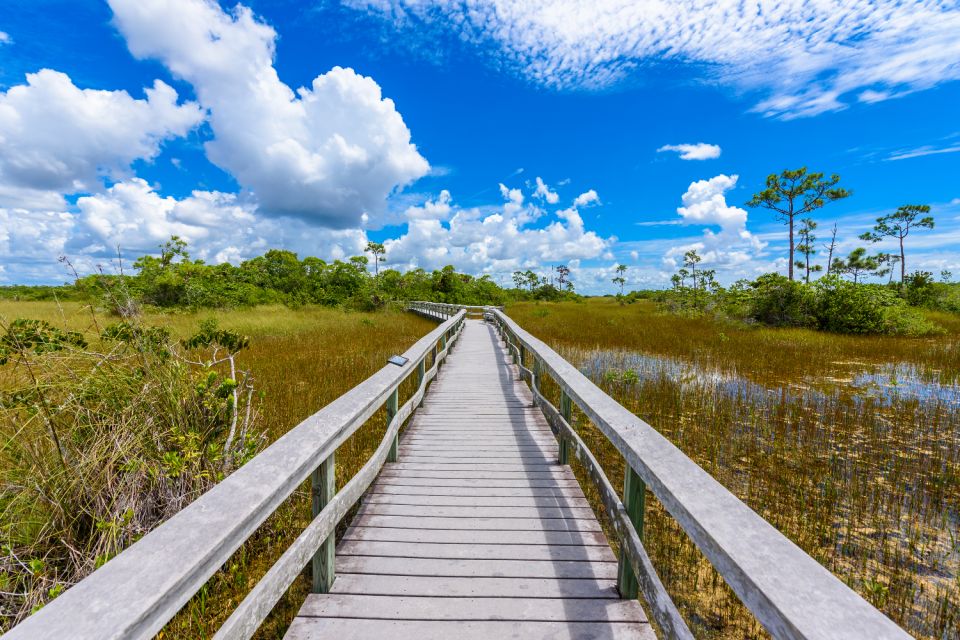 Everglades National Park: Self-Guided Driving Audio Tour - Guided Tour Itinerary