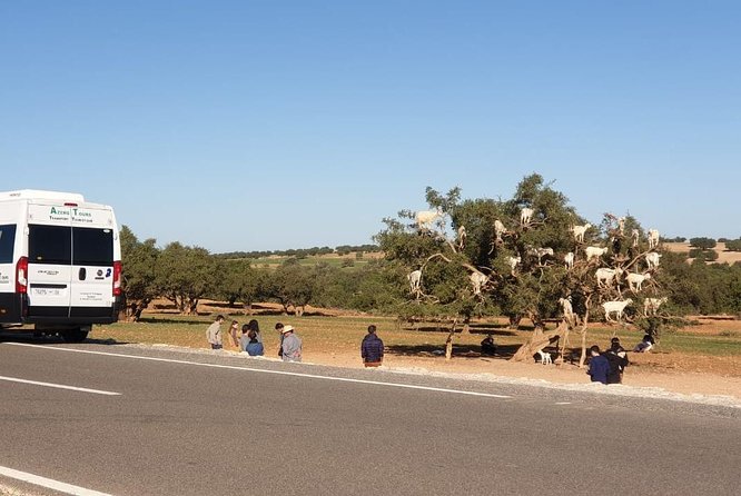 Excursion Essaouira From Marrakech - Accessibility and Transportation