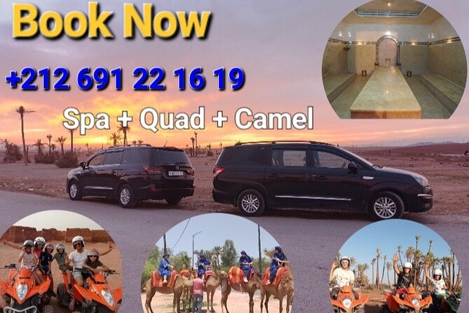 Experience Camel Ride Sunset or Anytime - Customer Feedback and Ratings