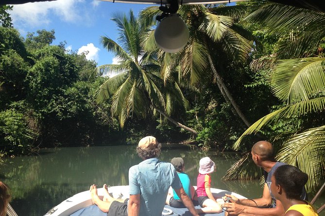 Experience on a Boat off the Beaten Path of the Most Beautiful Lagoon in Guadeloupe - Snorkeling Around Reefs and Wrecks