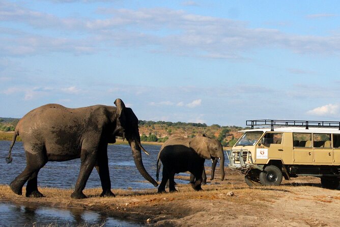 Explore Chobe National Park With a Day Trip From Victoria Falls - Customer Feedback and Experiences