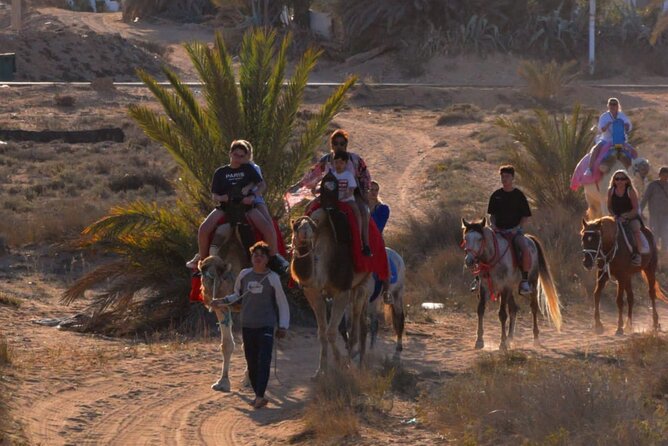 Explore Djerba With Our Four-Legged Friends - Booking and Cancellation