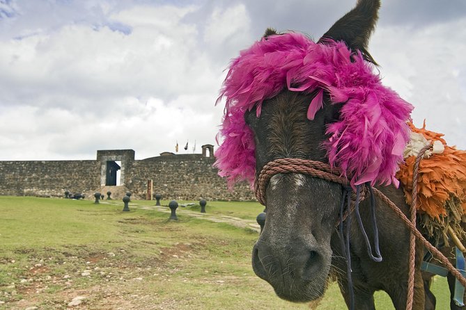 Explore Puerto Platas Best With Cable Car - Shore Excursion - All-Inclusive Port Pickup and Drop-off