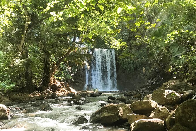 Explore The Wild South - Taking in Natural Pools