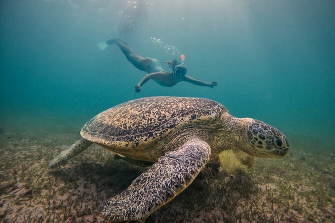 Exploring Nosy Sakatia With Guide - Knowledgeable Tourist Guide Expertise