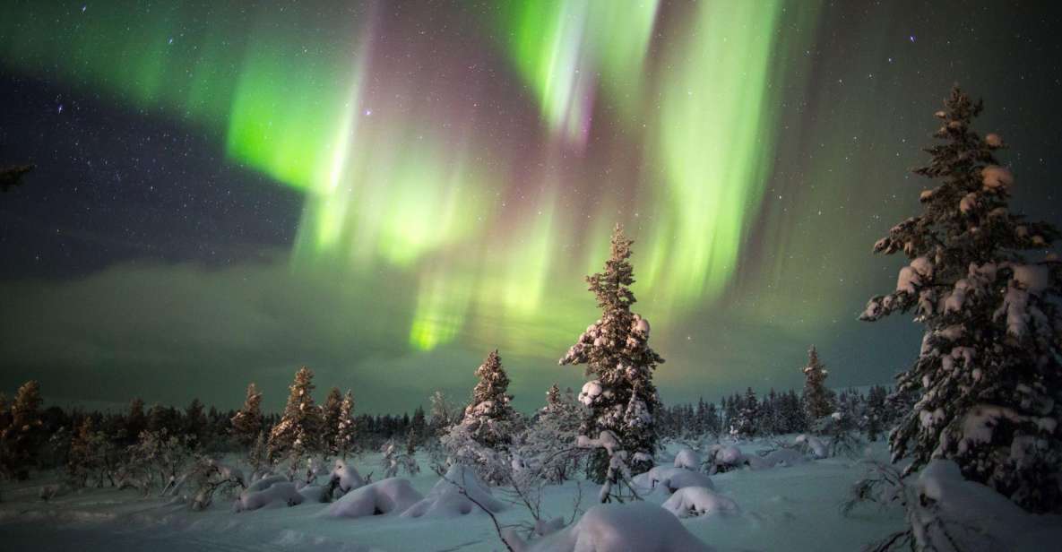 Exploring the Northern Lights by Car - Optimizing Your Viewing Experience