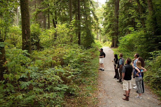 Exploring Vancouver: Includes Admission to Vancouver Lookout - Vancouver Lookout