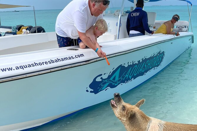 Exuma Powerboat Tour From Nassau With Swimming Pigs - Activity Highlights