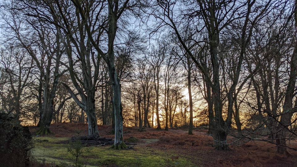 Family Fun in the Forest - Preparing for the Walk