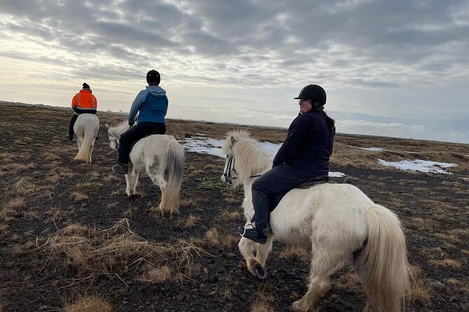 Family Horse Riding Tour in Thorlakshofn - Traveler Reviews