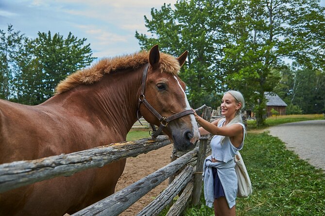 Family Visit to the Acadian Historic Village - Cancellation and Weather Policies