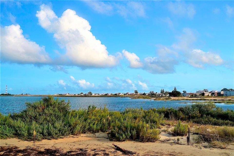 Faro: Ria Formosa Catamaran Tour - Inclusions