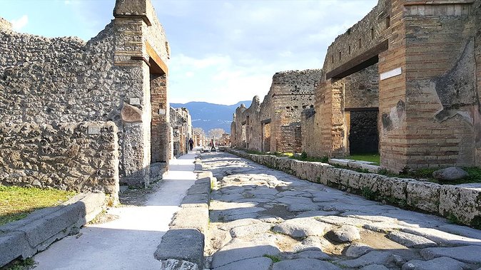 Fast Access Exclusive Private Ancient Pompeii Half Day Tour With Local Guide - Tour Accessibility and Fitness Level