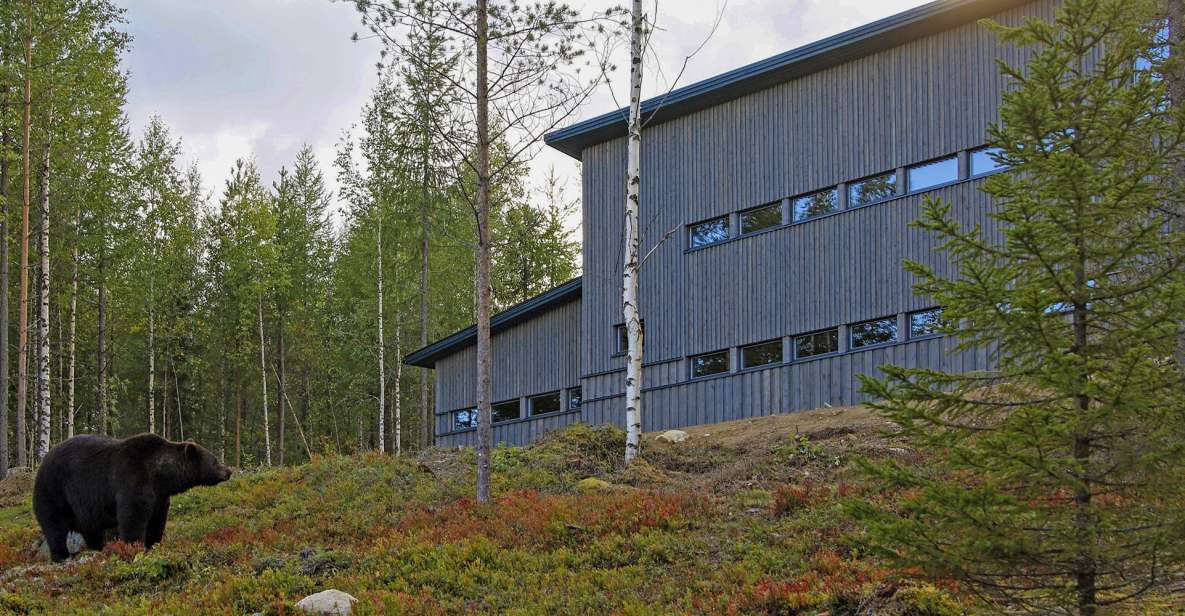 Finland: Bear Watching, Night Trip - Facilities at Bear Watching House