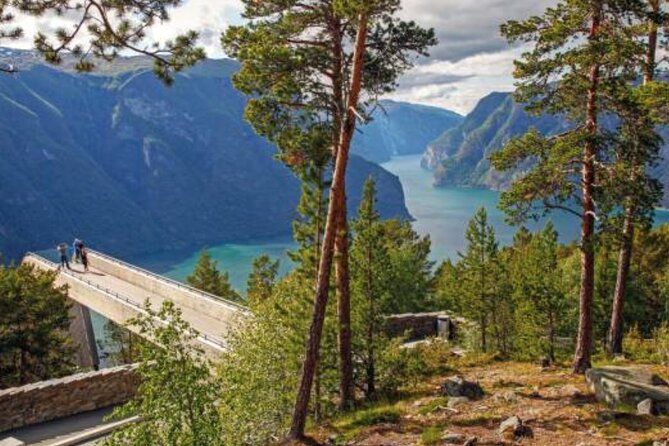 Flam: The Spectacular Stegastein Viewpoint Tour (Small Group) - Free Time at Viewpoint