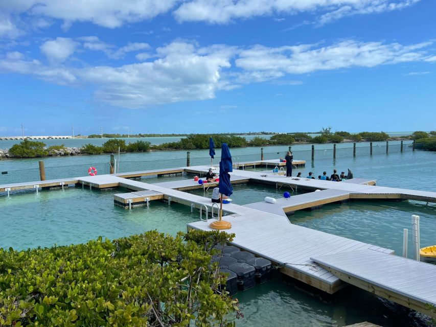 Florida Keys: Dockside Dolphin Experience - Booking and Cancellation Policy